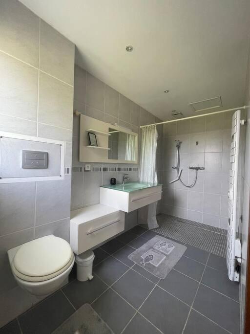 Charmante Maison En Pierre مورلیکس المظهر الخارجي الصورة